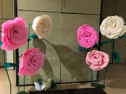 Apoio feminino - XVIII Congresso da UMCEB