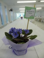 Um suculento café servido aos Militares