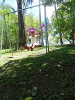 Confraternização de Florianópolis