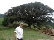 Uma viagem com muitas surpresas