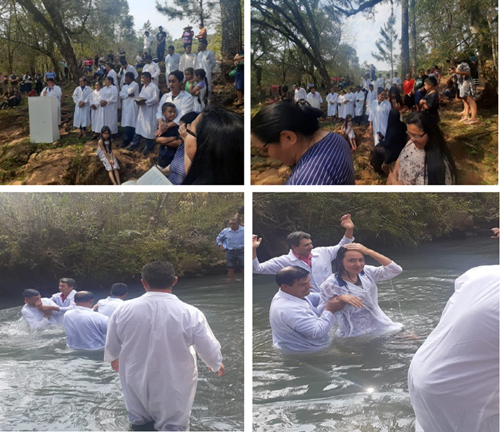 jagbsfgbasjfbjh volni